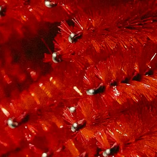 Book Ahead & SAVE at Lashed By Dina in East Haven, CT